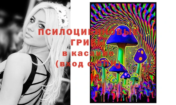 сатива Няндома