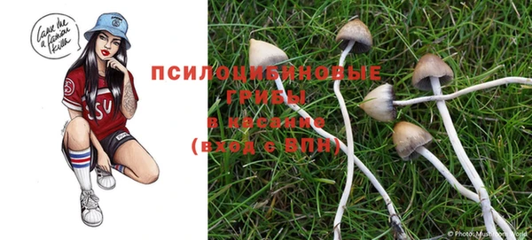 кокаин перу Алексин