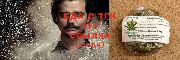 гашик Алзамай