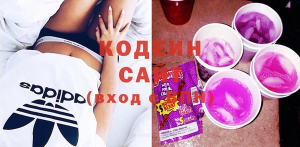 сатива Няндома