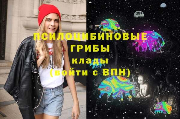 гашик Алзамай
