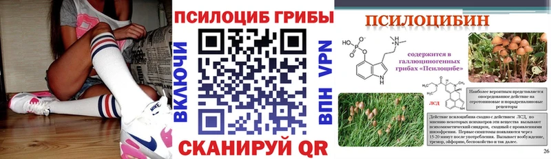 Галлюциногенные грибы Psilocybine cubensis  магазин    Амурск 